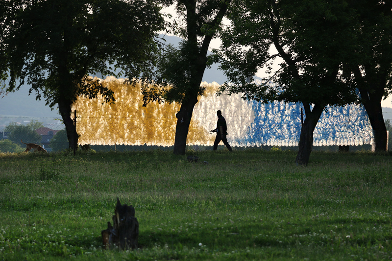 Illustration for article titled Weird Art Brings Plastic Shopping Bags Closer to Nature